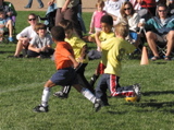IMG_8585.JPG