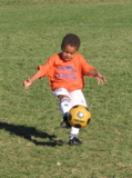 IMG_8369.JPG copy