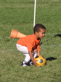 IMG_8380.JPG copy