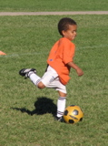 IMG_8384.JPG copy