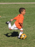 IMG_8386.JPG copy