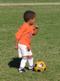 IMG_8387.JPG copy