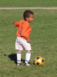 IMG_8392.JPG copy