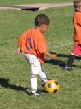 IMG_8395.JPG copy
