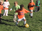 IMG_8411.JPG