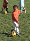 IMG_8338.JPG copy