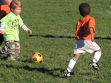 IMG_8445.JPG