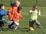 IMG_8449.JPG