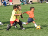 IMG_8475.JPG