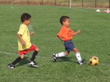 IMG_8476.JPG