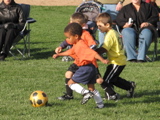 IMG_8483.JPG