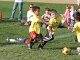 IMG_8506.JPG