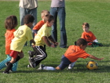 IMG_8517.JPG