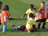 IMG_8520.JPG