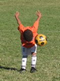 IMG_8354.JPG copy
