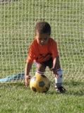 IMG_8530.JPG