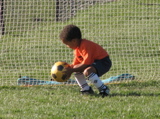 IMG_8533.JPG