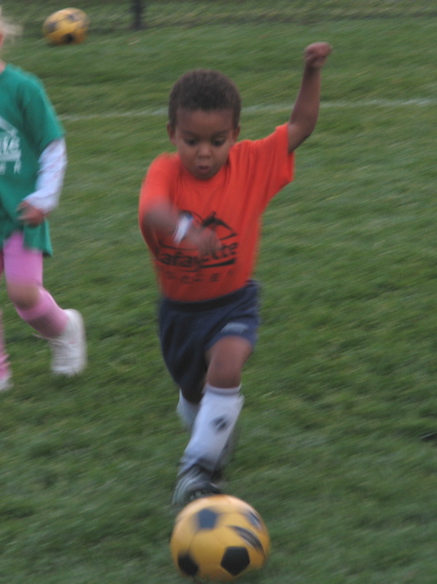 IMG_7875.JPG