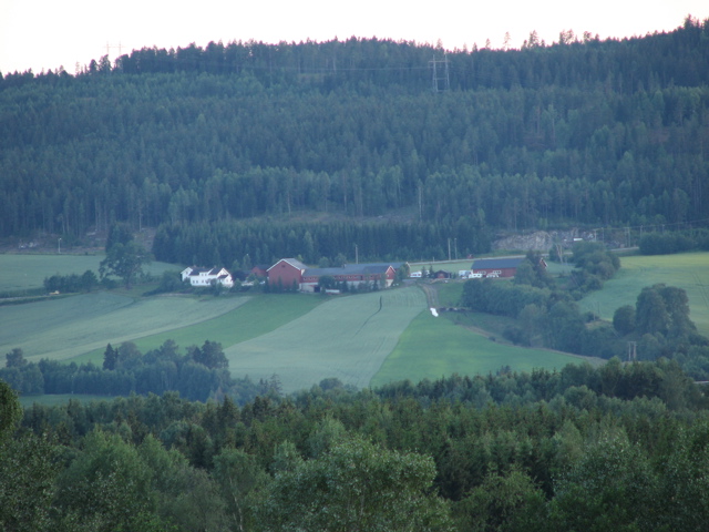 IMG_1452.JPG