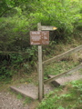 IMG_3712.JPG