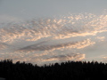 IMG_1459.JPG